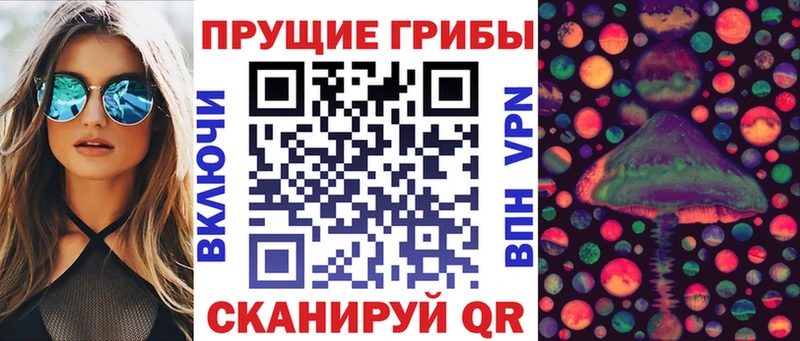Купить где  Сольвычегодск  Псилоцибиновые грибы мухоморы 